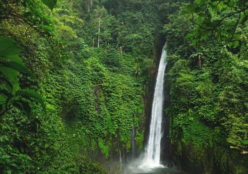 Air Terjun Terbaik di Lombok