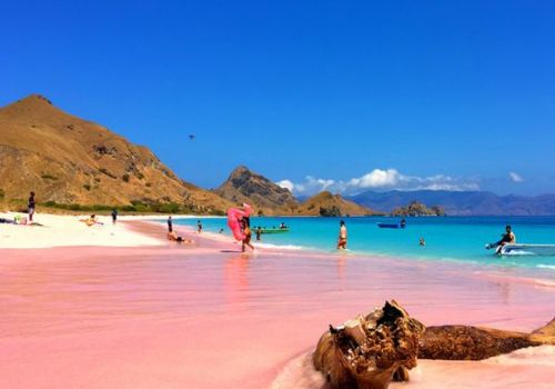 Pink Beach Lombok